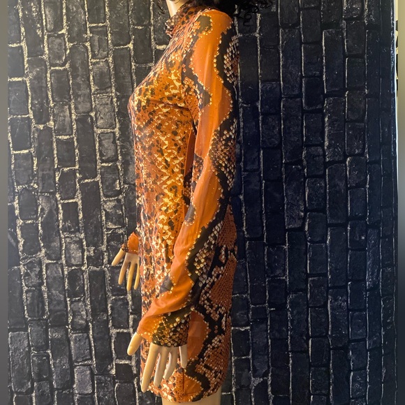 Mesh Dress - Picture 4 of 6